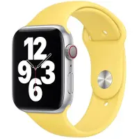 Apple Watch 42/44 mm Silicone Bracelet Sport Gingembre