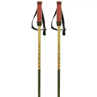 Völkl Phantastick 16 Mm Poles Vert 115 cm