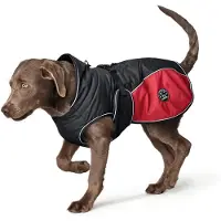 DOG SPORT Manteau pour chien HUNTER, modèle Uppsala Cozy 40, couleur anthracite/rouge