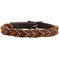 Hunter Collier Solid Education Cord (S, Chien, Général, Promenade, Sport canin)