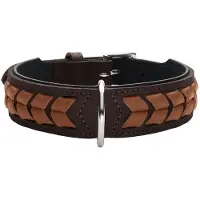 Hunter Collier El Paso (L, M, Chien, Général)