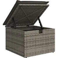 vidaXL Ensemble de salon de jardin 9 pièces avec coussins Gris Poly rotin Acacia