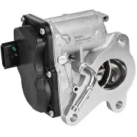 Delphi Vanne EGR EG10747-12B1