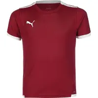 Puma Teamliga Jersey Short Sleeve Kids - Bordeaux / White