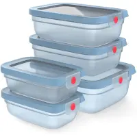 EMSA Oneclick N1230900 Boîte Hermétique Alimentaire Rectangulaire Régler Translucide, Bleu 5 Pièces