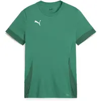 Puma T-Shirt fonctionnel roseau / vert foncé / blanc