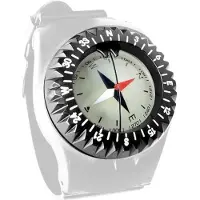 SCUBAPRO Fs 1.5 Capsule Compass Argenté