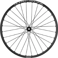 Mavic E-deemax S 29'' Boost 6b Disc Tubeless Roue avant Mtb argent 15 x 110 mm argent 15 x 110 mm