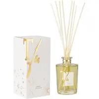 Teatro Fragranze Théâtre Unique Fragrances Diffuseur Joyeux 100 ml