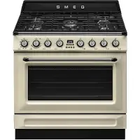 Smeg Tr90gm 90 Cm Natural Gas Kitchen With Oven 5 Burners Argenté