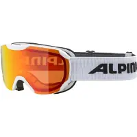Alpina Masque de ski