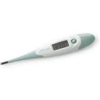 Alecto Thermomètre numérique Vert -