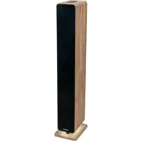 Thomson DS702 Tour d'enceintes Bluetooth 120W en bois noir avec télécommande