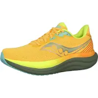 Saucony Chaussures Triumph 23 S21023144