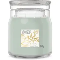 Yankee candle Little Luxuries Serenity Stone bougie parfumée 368 g