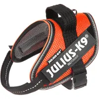 JULIUS K-9 Idc Powair Dog Harness Orange L-1