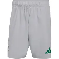 Adidas Pantalon de sport 'Algeria Tiro' gris / vert