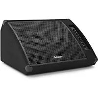 SubZero Retour de Scène Actif 15" 260 W