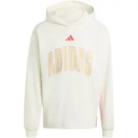 Adidas Sweat à Capuche Stadium Graphic