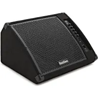 SubZero 230W 12" Active Floor Monitor