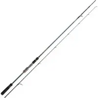 Daiwa Tournament Ags Spinning Rod Bleu 3.05 m / 14-56 g