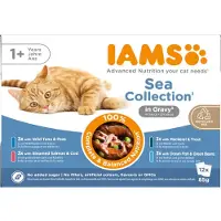 IAMS Delights Adult Sea Collection pâtée au poisson en sauce pour chat (12x85g)