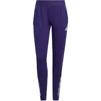 Adidas Tiro 25 Competition Pants Violet M / Regular Femme