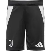 Adidas Pantalon de sport 'Juventus' noir / blanc