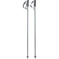 Fischer Rc4 Noize Poles Argenté 115 cm