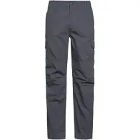 Dickies Pantalon cargo 'Millerville' gris foncé