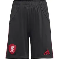 Adidas Pantalon de sport 'Liverpool FC 25/26' rouge / noir / blanc