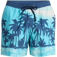 Quiksilver Everyday Printed Volley 15´´ Swimming Shorts Bleu L Homme