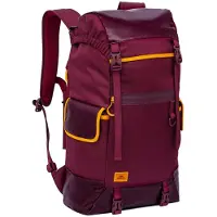 Rivacase 30l 17.3´´ 5361 Laptop Backpack Violet