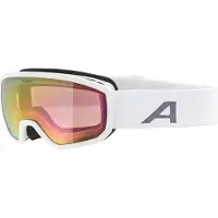 Alpina Masque de ski