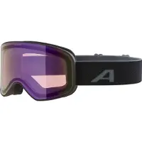 Alpina Masque de ski