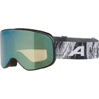 Alpina Masque de ski