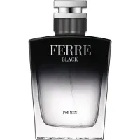 Gianfranco Ferre Ferré Black Eau de Toilette Spray 100 ml