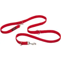 Halti Training Lead - Rouge - S