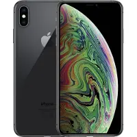 Apple iPhone XS Max - gris sidéral - 256 Go - Carte SIM physique + eSIM