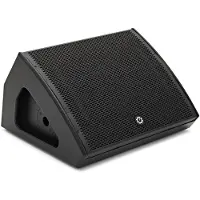 G4M 15" Passive Stage Monitor / PA Speaker