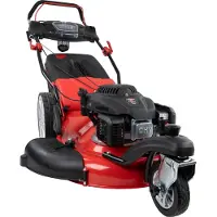 Güde Tondeuse à gazon BIG WHEELER 554.2 R TRIKE