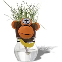 Eurowebbiz Tête d'animal cheveux d'herbe qui pousse singe
