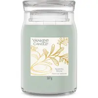 Yankee candle Little Luxuries Serenity Stone bougie parfumée 567 g
