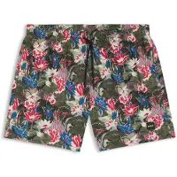 BOSS Short De Bain Piranha 10257165