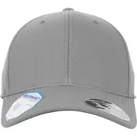 Flexfit Casquette gris