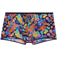 Hom Boxer court