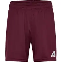 Adidas Short Entrada 26 Hommes