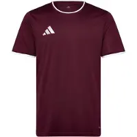 Adidas T-Shirt fonctionnel 'Entrada26' bourgogne / blanc