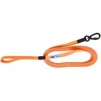 Axaeco Laisse Pour Chien Action Tracking 5 Meter Small Carbiner