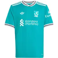 Adidas T-Shirt fonctionnel 'FC Liverpool 25-26' vert clair / noir / blanc